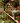 Jardinerie 1