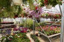 jardinerie