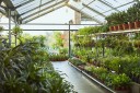 Photo jardinerie
