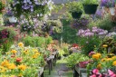 Photo jardinerie