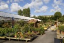 Photo jardinerie