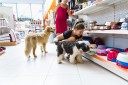 Vendeur client animalerie