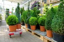 jardinerie