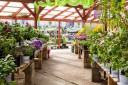 zoom sur jardinerie