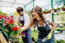 vendeurs en jardinerie