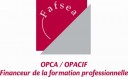logo fafsea