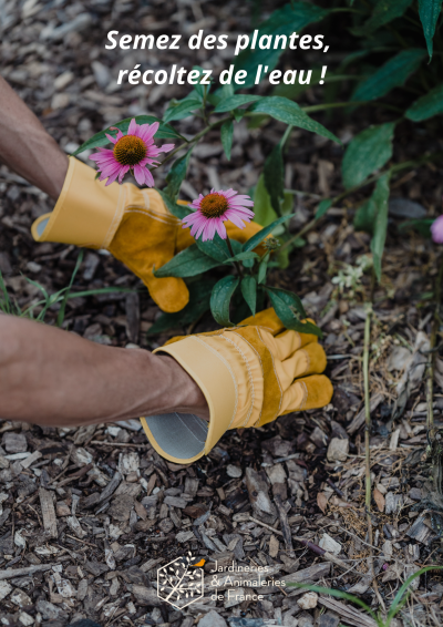 Semez des Plantes, Récoltez de l'Eau