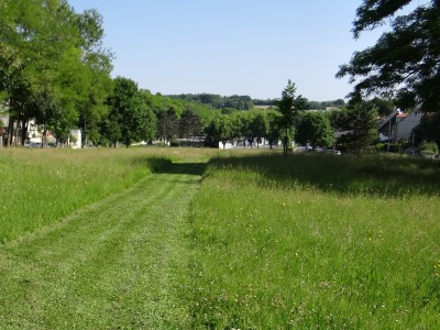 tonte prairie