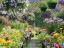 Photo jardinerie