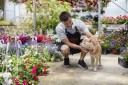 Photo vendeur et chien en jardinerie